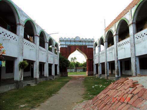 Dorber e Furfura, Pakshi